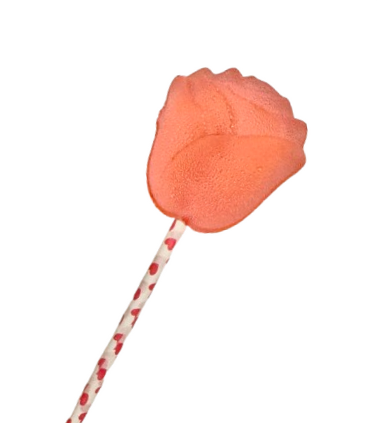 Watermelon Rose Lollipop